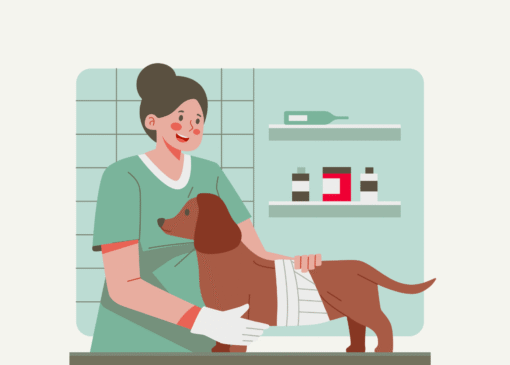 انتخاب کلینیک دامپزشکی مناسب حیوانات